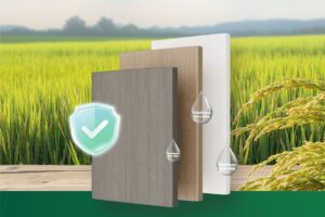 0 formaldehyde glutinous rice plywood