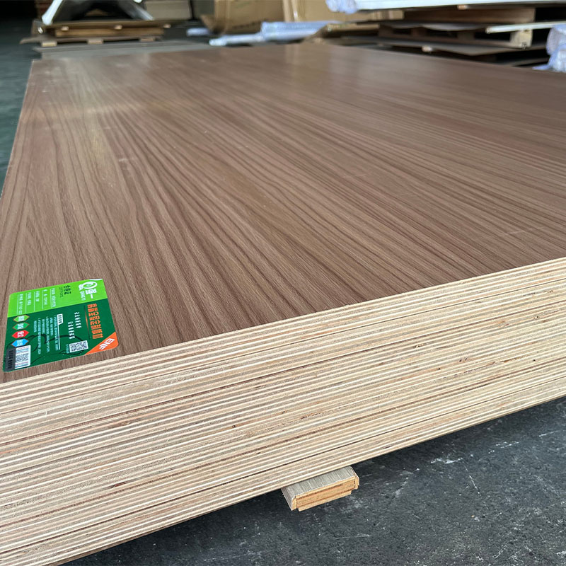 Wardrobe Use 18mm 4x8ft White or Wood Grain Finished Laminate Marine Plywood for Apartment.6