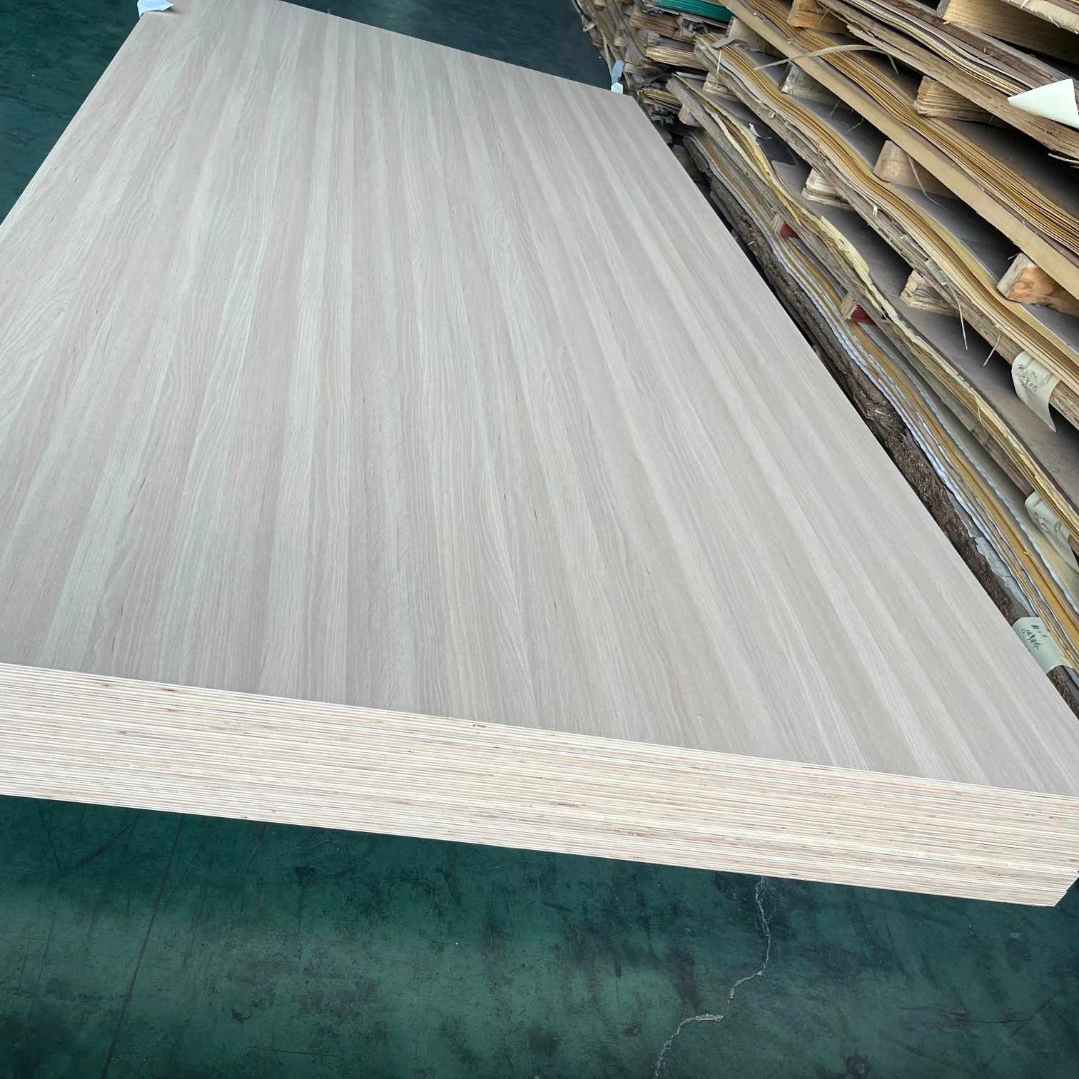 Elm Melamine Faced Plywood