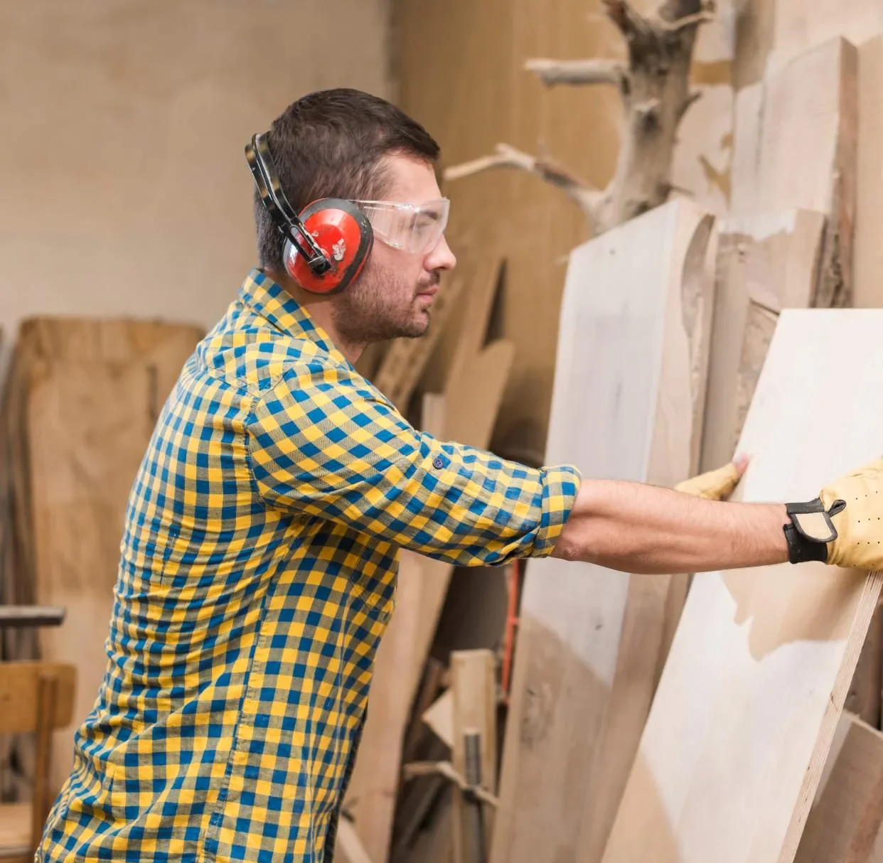 What is Plywood Learn about ply's make up and uses