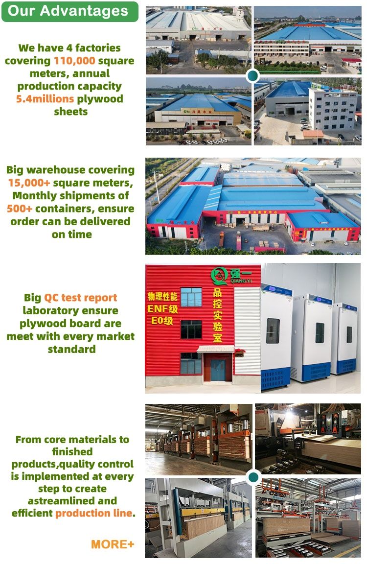 Factory Qiangyi