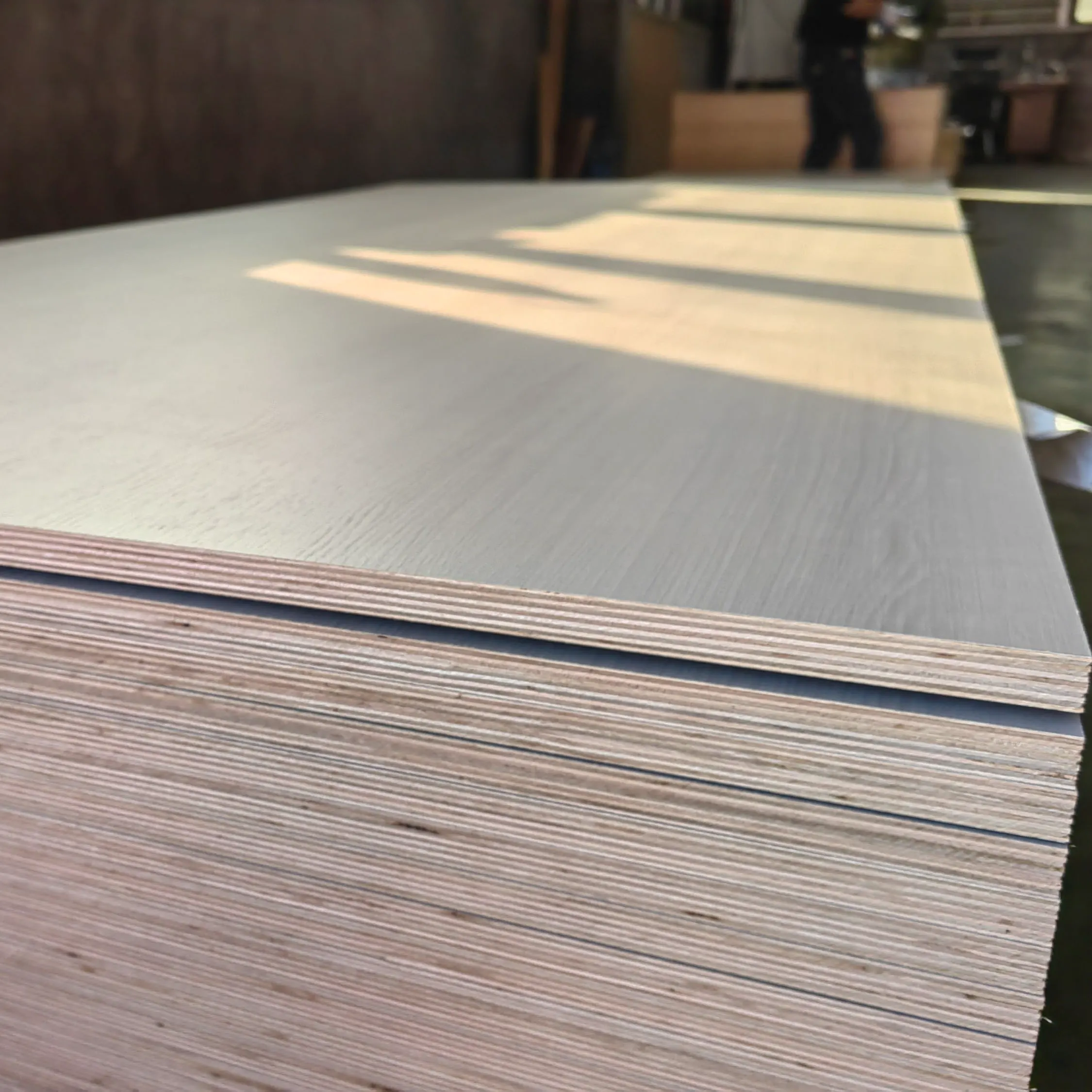 ENF plywood (1)