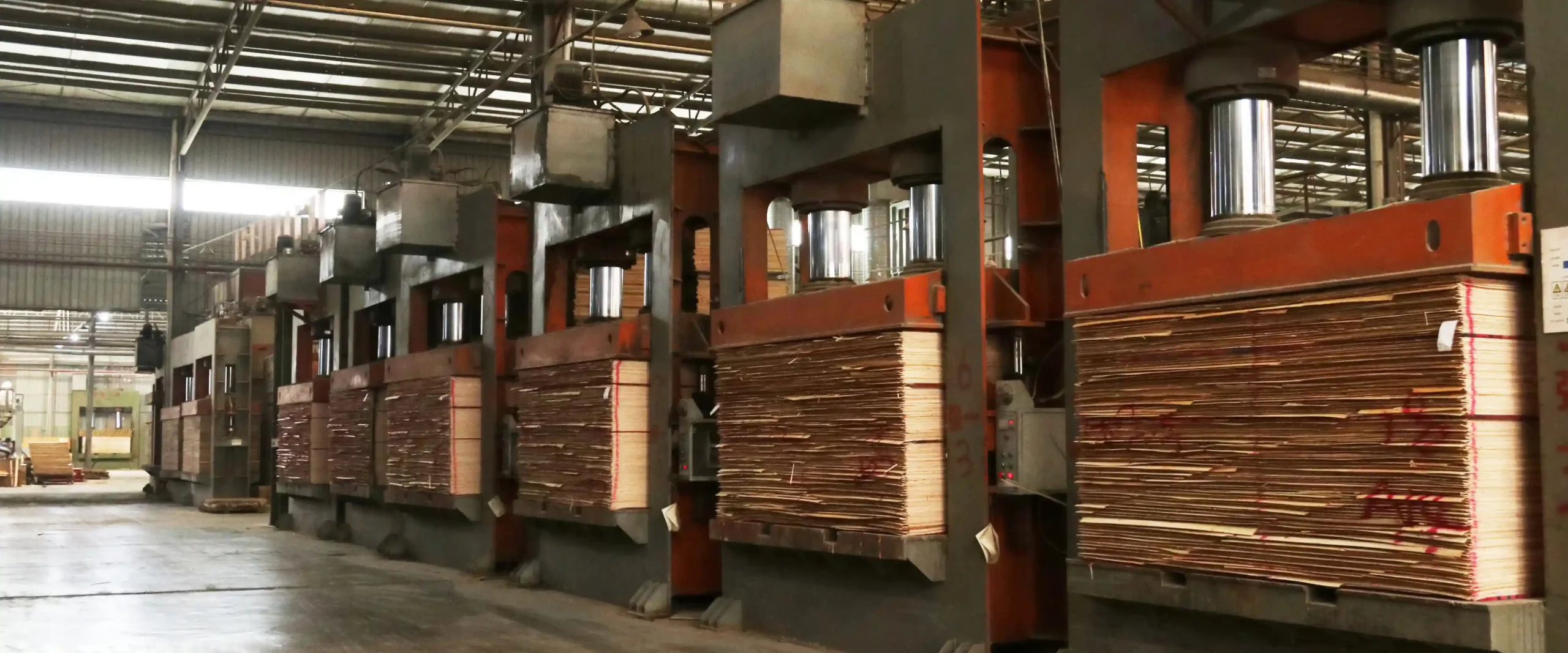 plywood factory