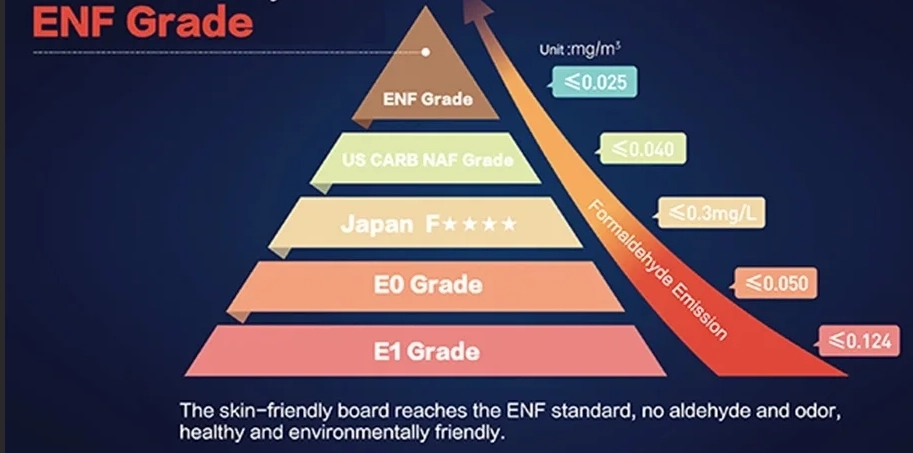 ENF grade