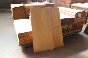 Eucalyptus veneer