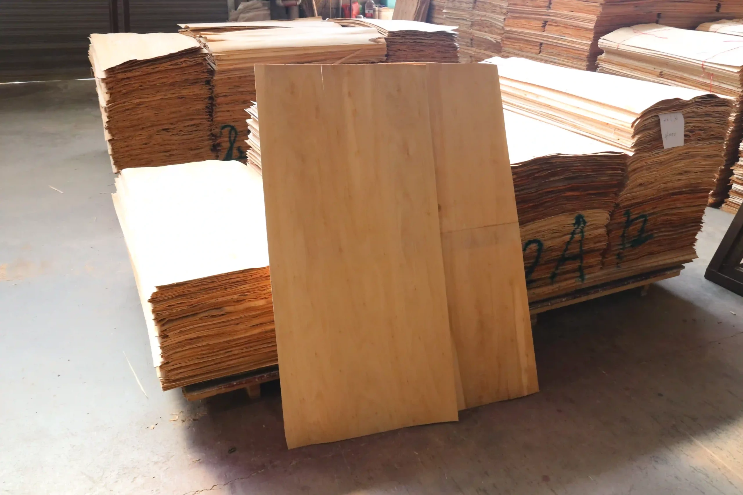 Eucalyptus veneer